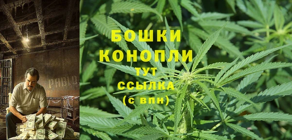 PSILOCYBIN Балабаново