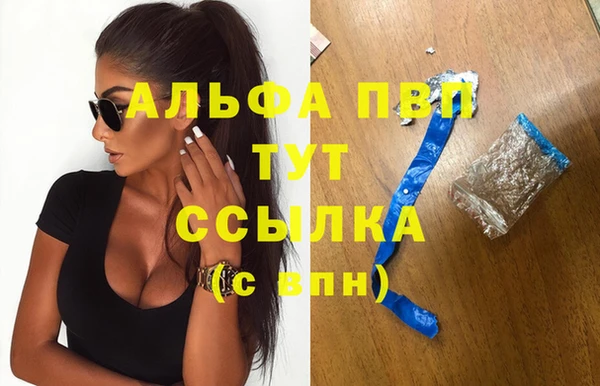 гашик Баксан
