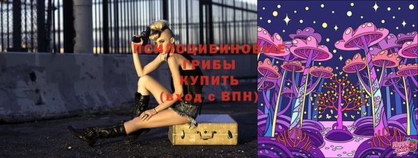 СК Балахна