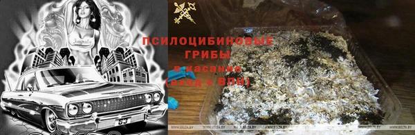PSILOCYBIN Балабаново