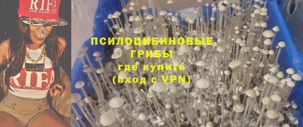 гашик Баксан
