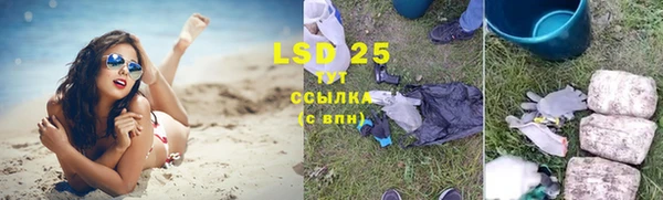 PSILOCYBIN Балабаново